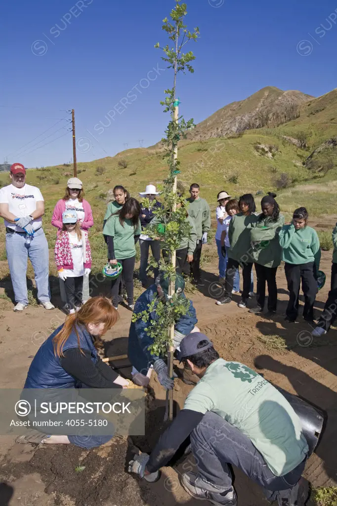 A demonsrtation of how to pplant a tree at a Tree planting to reforest Stetson Ranch Park in Sylmar after the 2008 devastating wildfire. Organizations such as LA Conservation Corps, Tree People, North East Trees joined Million Trees LA and other volunteers to plant 150 trees to celebrate Earth Day 2009. California, USA.