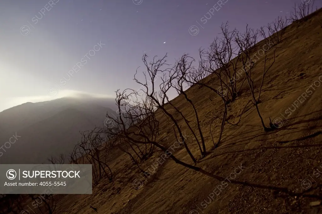 Moonlight illuminates scorched earth and burnt trees along Big Tujunga Canyon road, from Station fire in September, 2009. San Gabriel Mountains, Angeles National Forest, Los Angeles, California ,USA