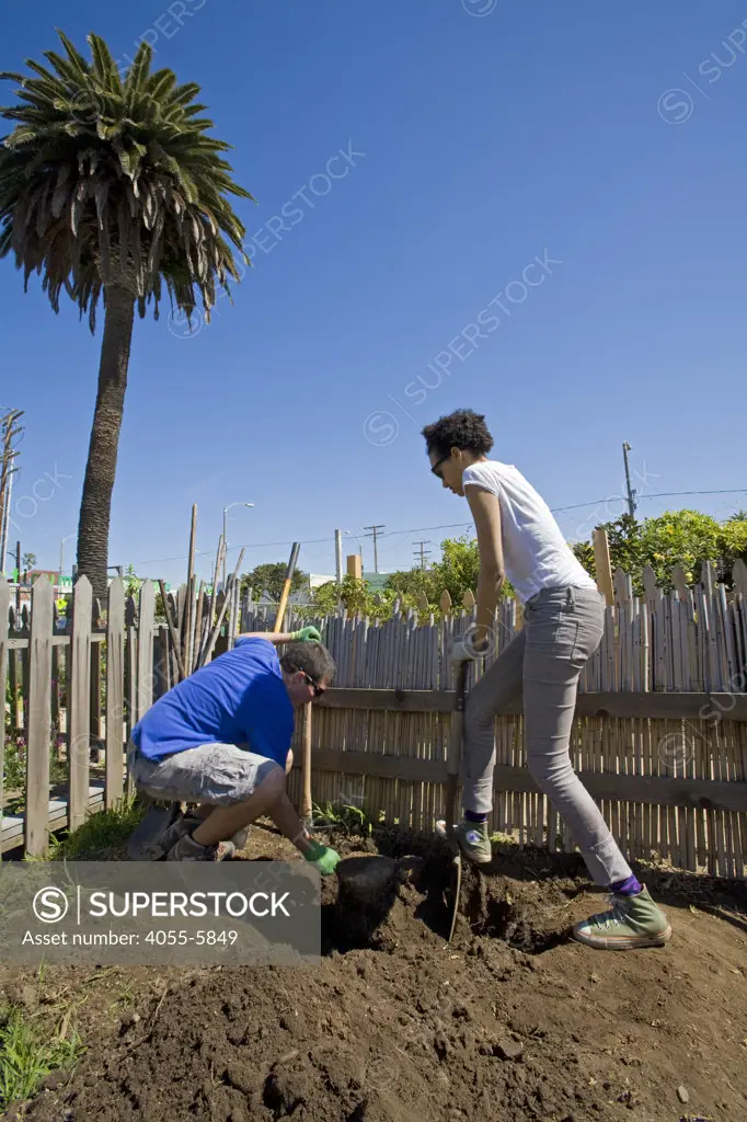 Diggin out a plot at Santa Monica Community Garden, Main Street, Santa Monica, Los Angeles, California, USA
