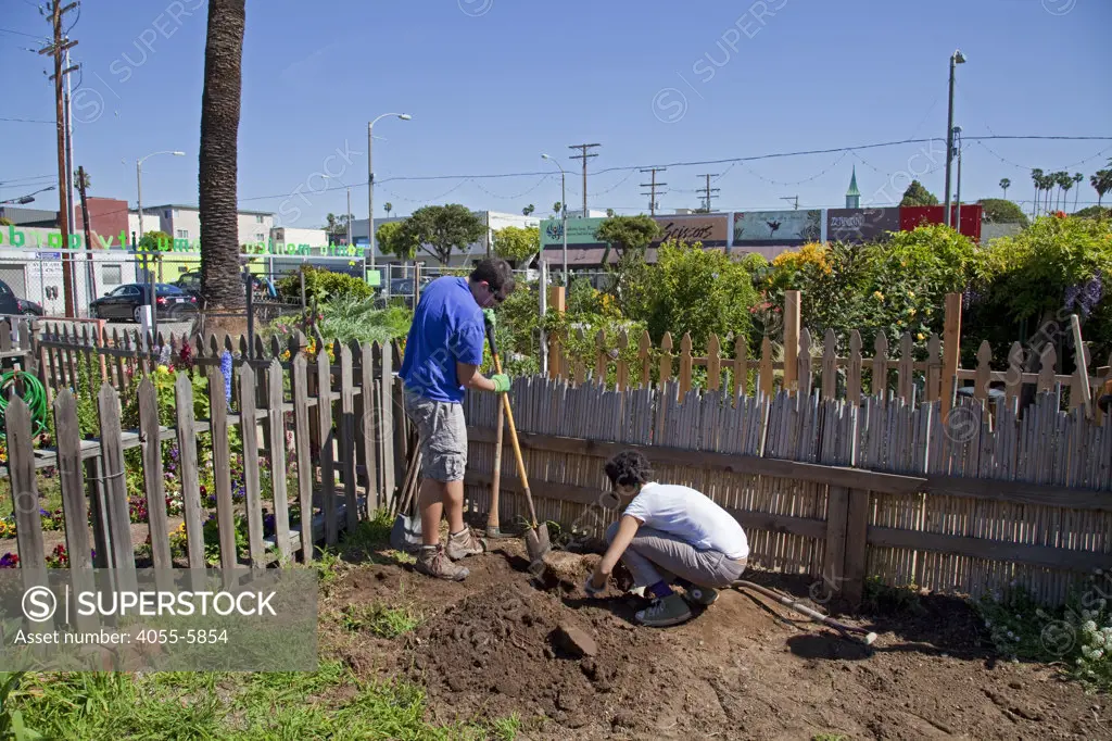 Diggin out a plot at Santa Monica Community Garden, Main Street, Santa Monica, Los Angeles, California, USA