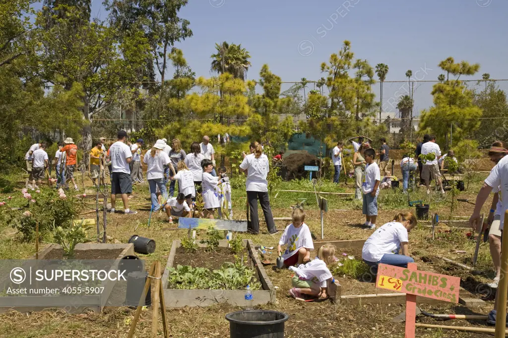 Students, parents and teachers work on the garden at the 24th Street School garden on Big Sunday, the largest annual citywide community service event in America, West Adams, Los Angeles, California, USA