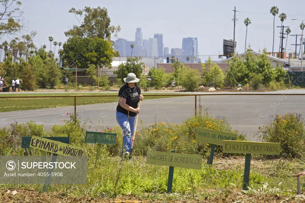 With the Los Angeles skyline in the background, students, parents and teachers work on the garden at the 24th Street School garden on Big Sunday, the largest annual citywide community service event in America, West Adams, Los Angeles, California, USA