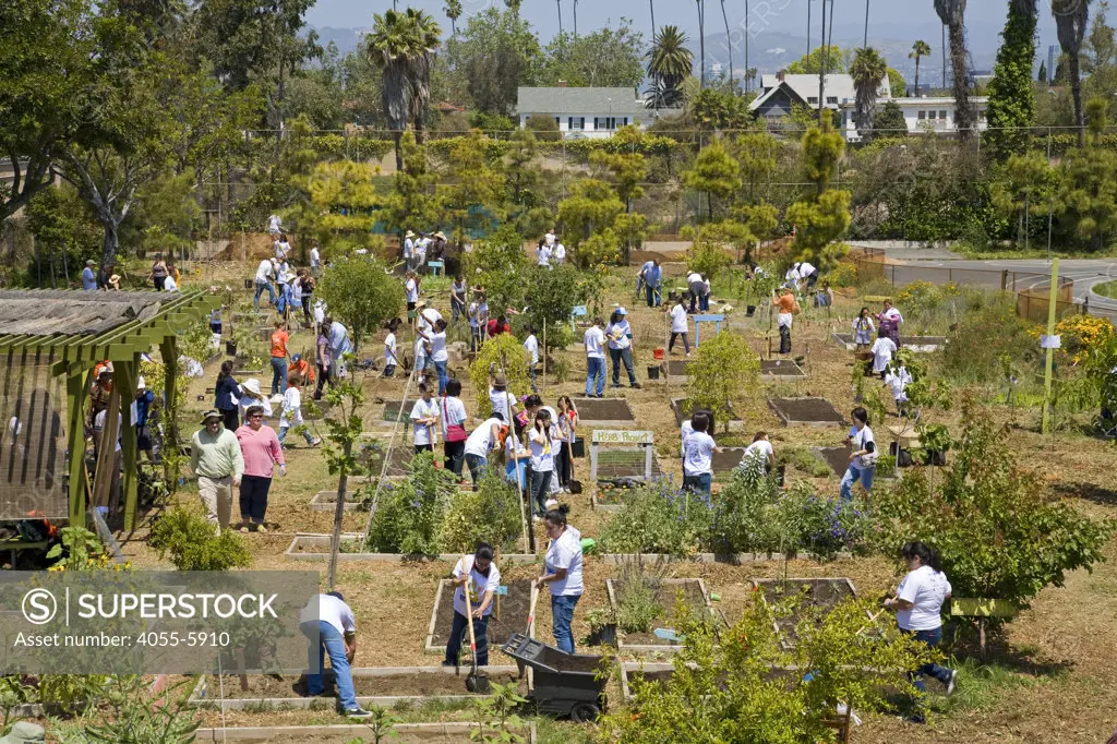 Students, parents and teachers work on the garden at the 24th Street School garden on Big Sunday, the largest annual citywide community service event in America, West Adams, Los Angeles, California, USA