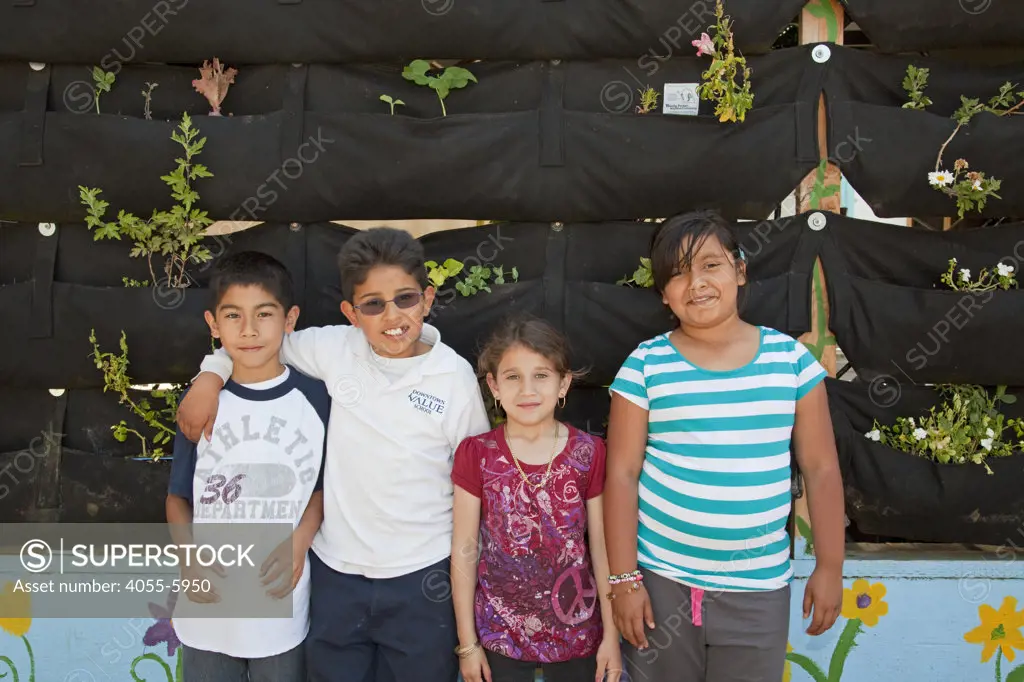 School Children learn about and tend the vertical garden at the Downtown Value School, a charter school in downtown Los Angeles. The vertical garden is provided by Woolly Pocket and is part of their Woolly School Garden program. The Woolly Pocket hangers are created from 100% recycled materials. The school also has a flower and produce garden that goes around the school grounds, a small greenhouse and a worm compost bin that students collect for after each meal. Los Angeles, California, USA