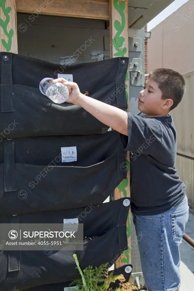 Watering plants. School Children learn about and tend the vertical garden at the Downtown Value School, a charter school in downtown Los Angeles.