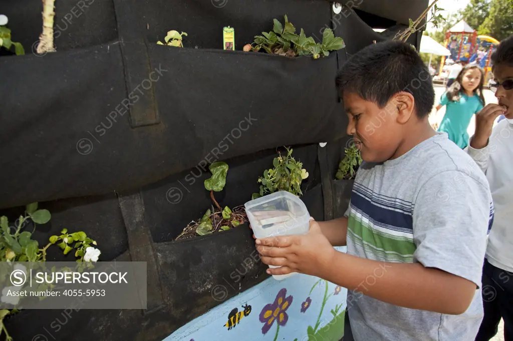 Watering plants. School Children learn about and tend the vertical garden at the Downtown Value School, a charter school in downtown Los Angeles.
