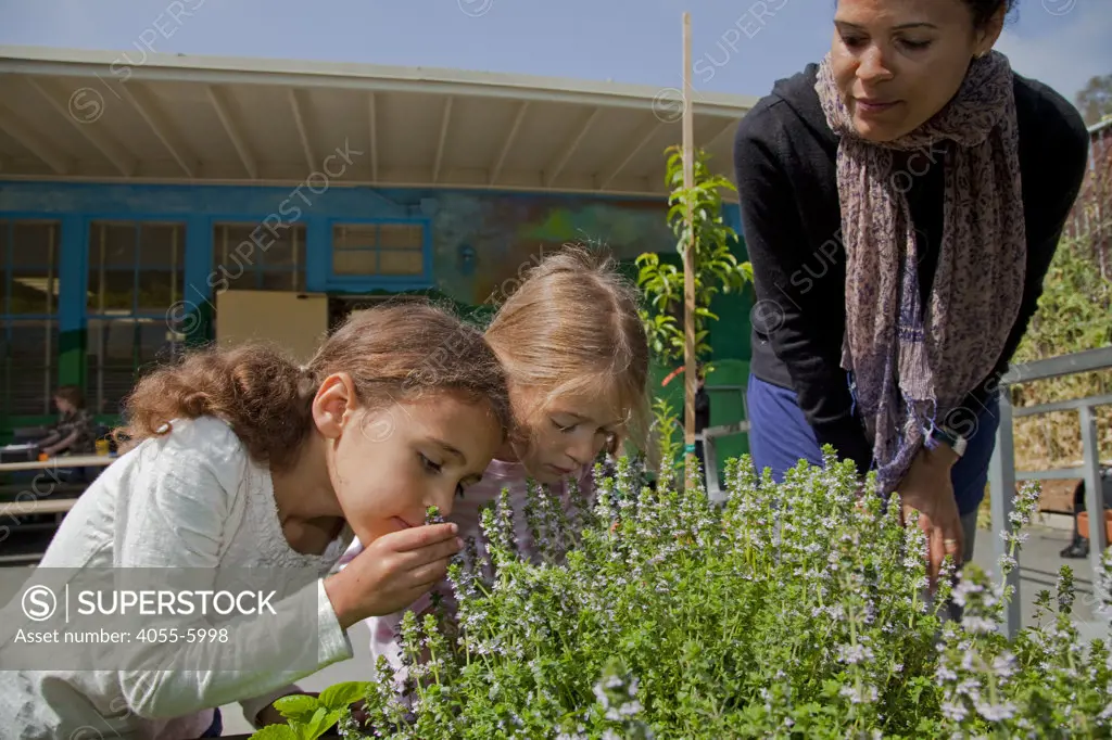 Young girls and their mother learn about the garden at their elementary school. Wonderland Elementary School, Laurel Canyon, Los Angeles, California, USA