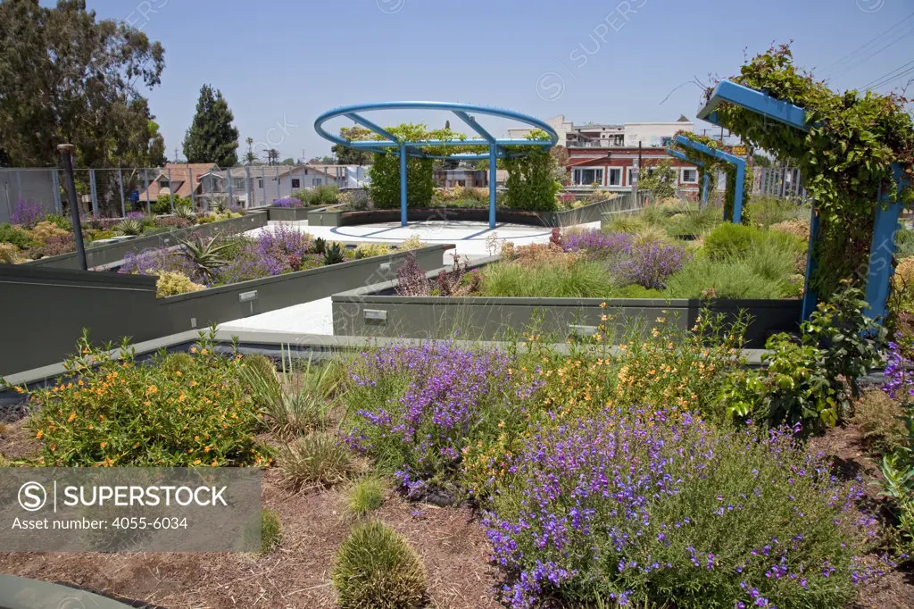 Drought tolerant green roof garden. The Council District 9 Neighborhood City Hall in South Central Los Angeles was designed by architect Paul Murdoch and incorporates many sustainable features into its design and is a Leed certified building.
