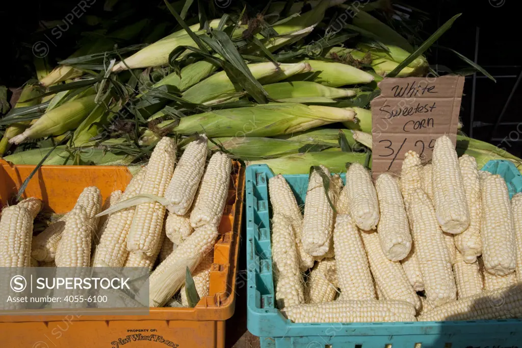 Corn for sale at the Culver City Farmer's Market Tuesday afternoons, Culver City, Los Angeles, California, USA