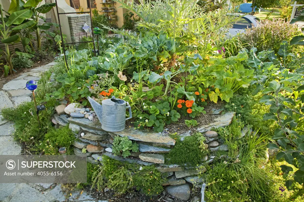 Permaculture Garden designed by Larry Santoyo of Earthflow Design Works. Permaculture design, a movement founded by Bill Mollison & David Holmgren, recreates systems from nature allowing each element to contribute to the success of the whole. Los Angeles, California, USA