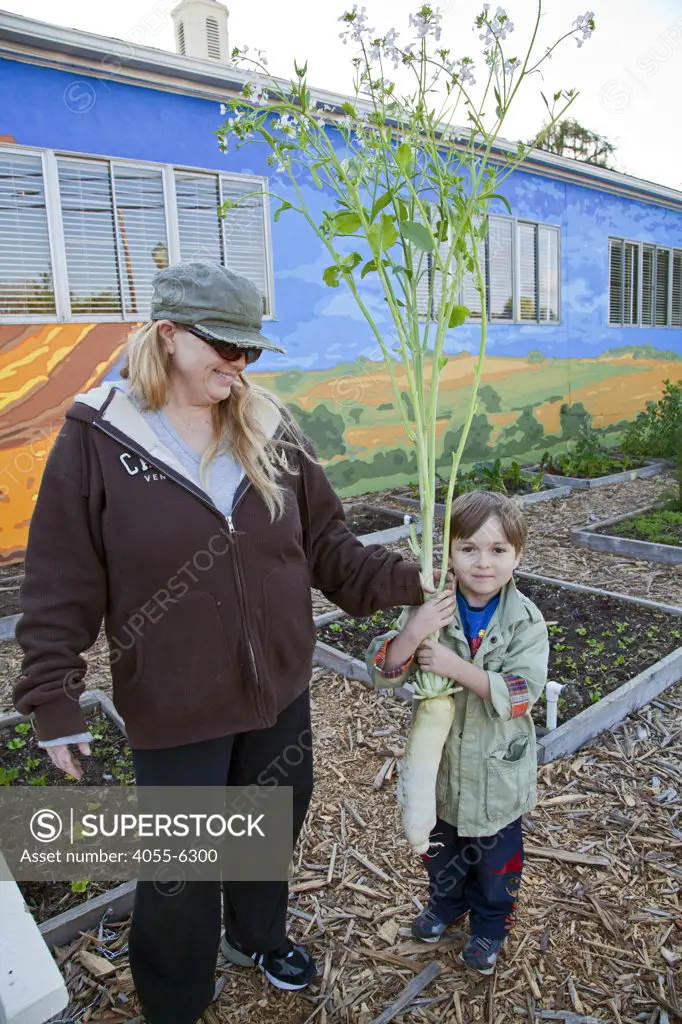 Daikon radish being held by mother and son at the community garden at the Holy Nativity Episcopal Church in Westchester. Los Angeles, California, USA