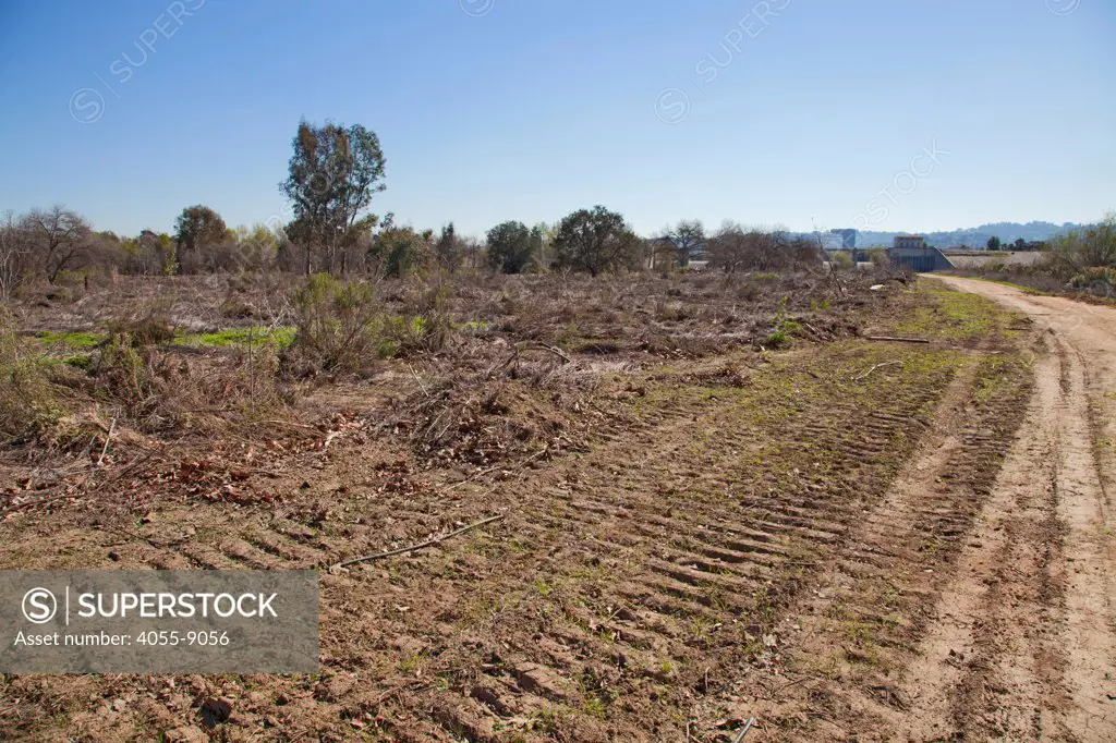 In December of 2012, the Army Corps of Engineers bulldozed over 40 acres of thick vegetation near Haskell Creek in the Sepulveda Basin Wildlife Reserve, San Fernando Valley, Los Angeles, California, USA