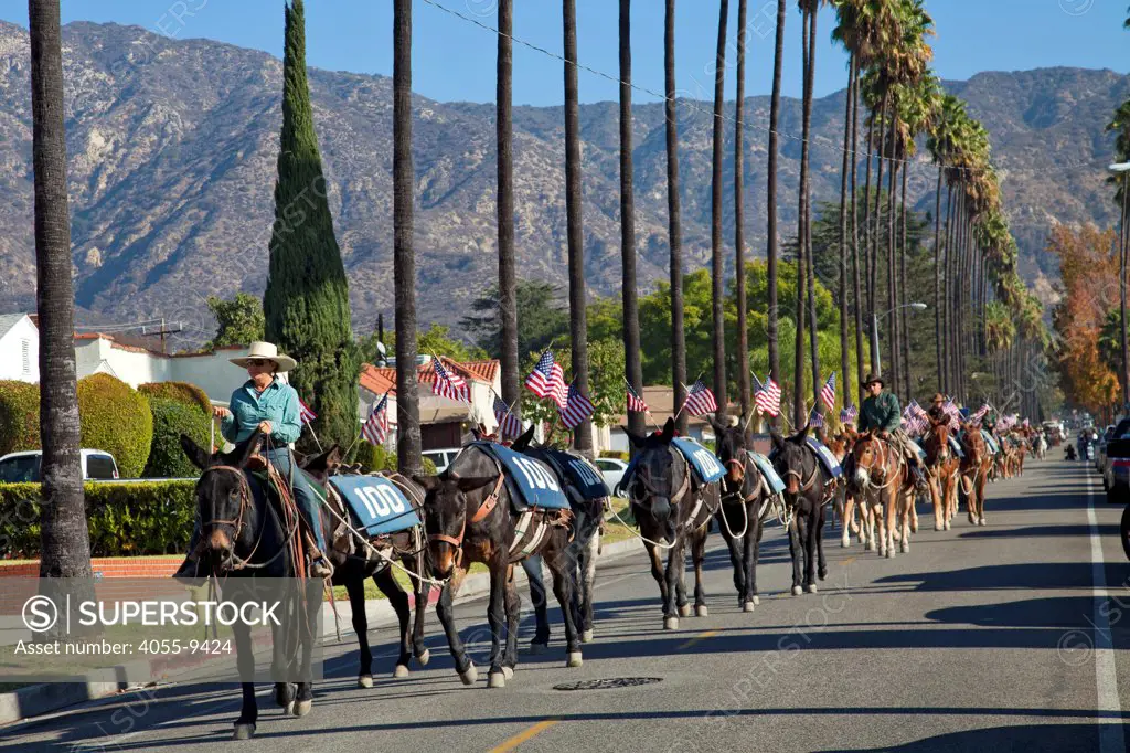 On November 11, 2013, a Veterans Day mule train parade in Glendale, California that is the last leg of a commemorative artist action called ""One Hundred Mules Walking the Los Angeles Aqueduct"", which was a month long, 240 mile journey from Owens Valley to Los Angeles that commemorates the 100 year anniversary of the opening of the Los Angeles Aqueduct.