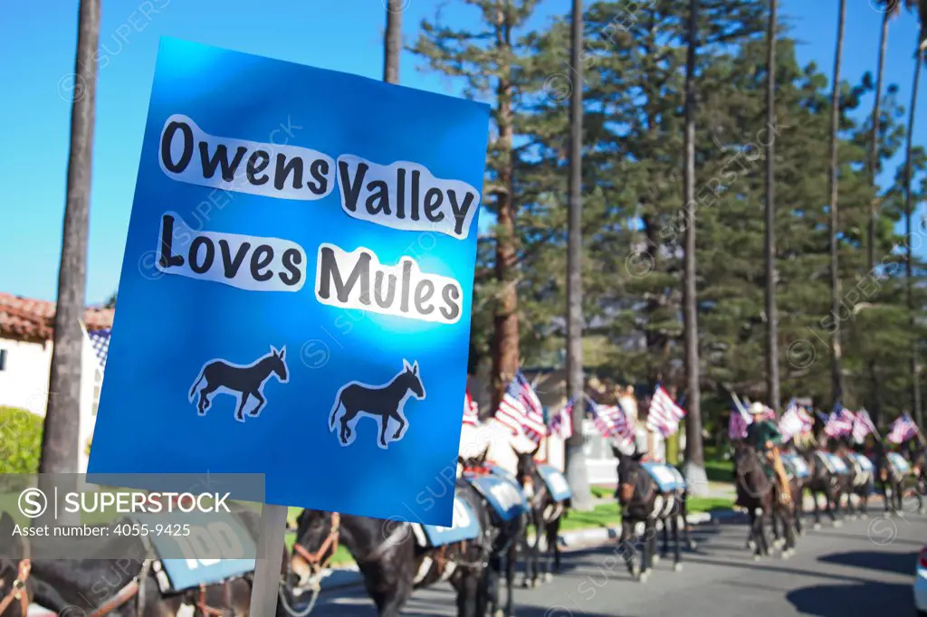 On November 11, 2013, a Veterans Day mule train parade in Glendale, California that is the last leg of a commemorative artist action called ""One Hundred Mules Walking the Los Angeles Aqueduct"", which was a month long, 240 mile journey from Owens Valley to Los Angeles that commemorates the 100 year anniversary of the opening of the Los Angeles Aqueduct.