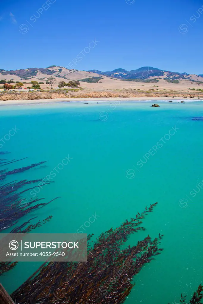 San Simeon State Beach, San Luis Obispo County, California, USA