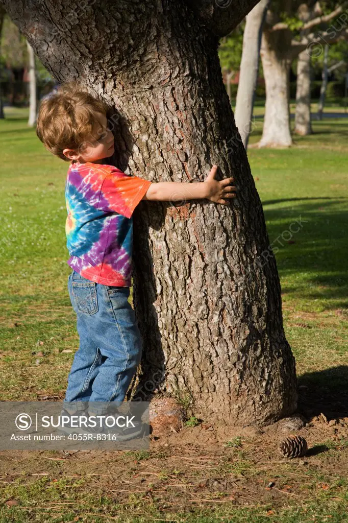 Young boy hugging tree. (MR)