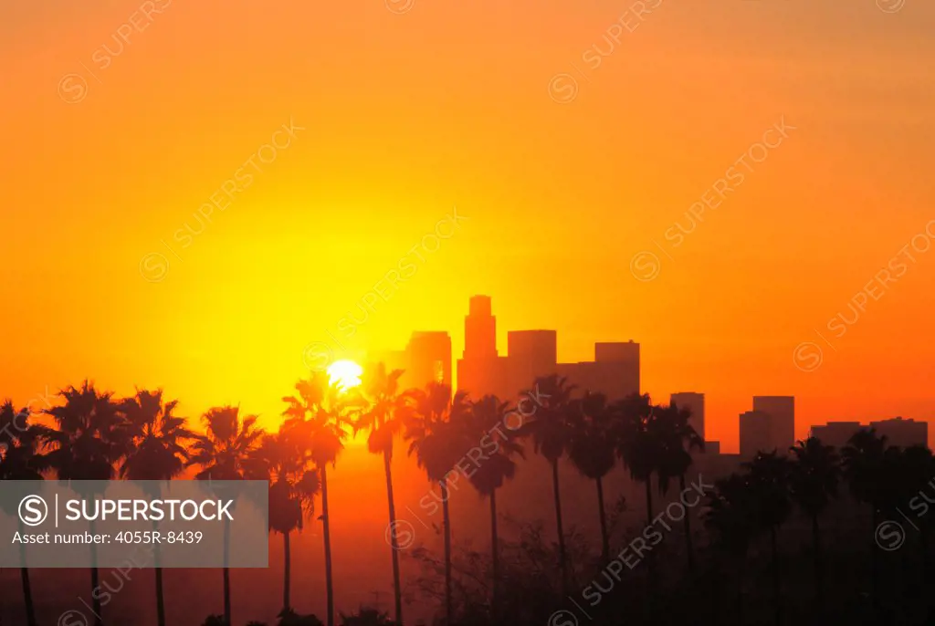 Los Angeles Skyline, California (LA)