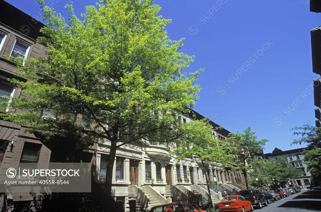 Hamilton Terrace, Harlem, Manhattan, New York8