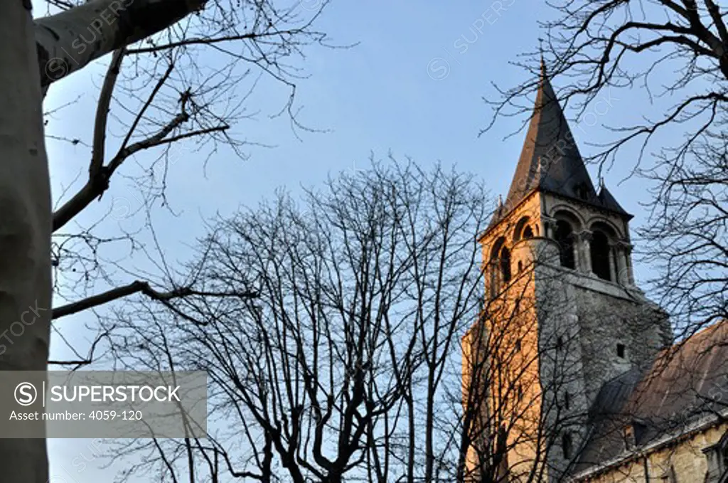 Low angle view of bare trees in front a church, Abbey of Saint-Germain-des-Pres, Paris, France