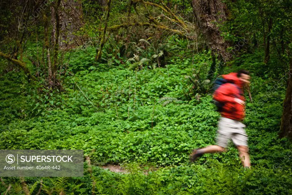 Portland, Oregon, USA, Man trail running with backpack