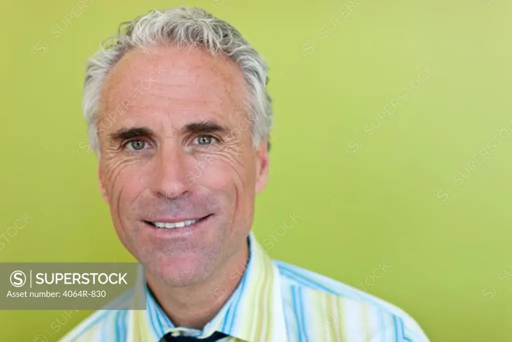 Portrait of cheerful mature businessman