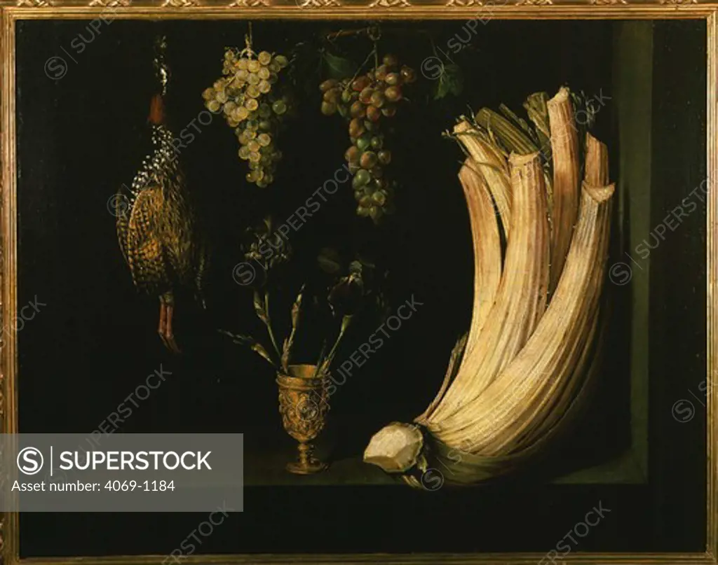 Still Life with cardoon, grapes, irises and francolin, 1628