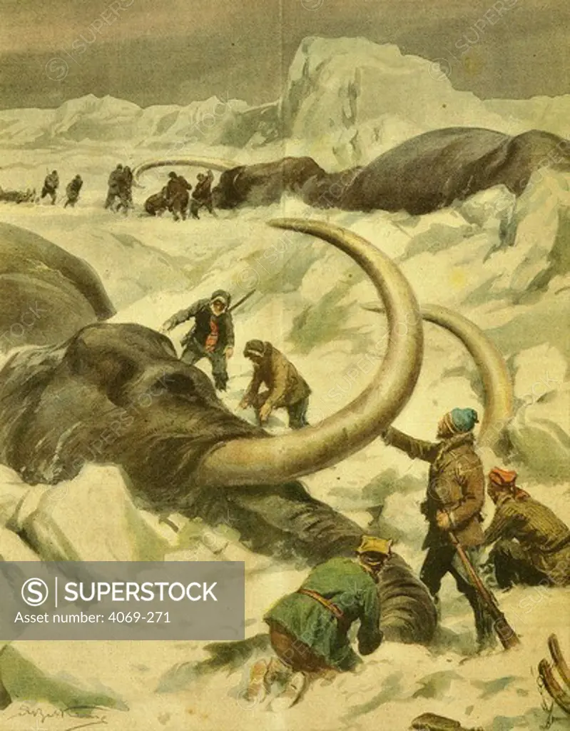 Discovery of mammoth remains by seal-hunters, Jamal Peninsula 1934
