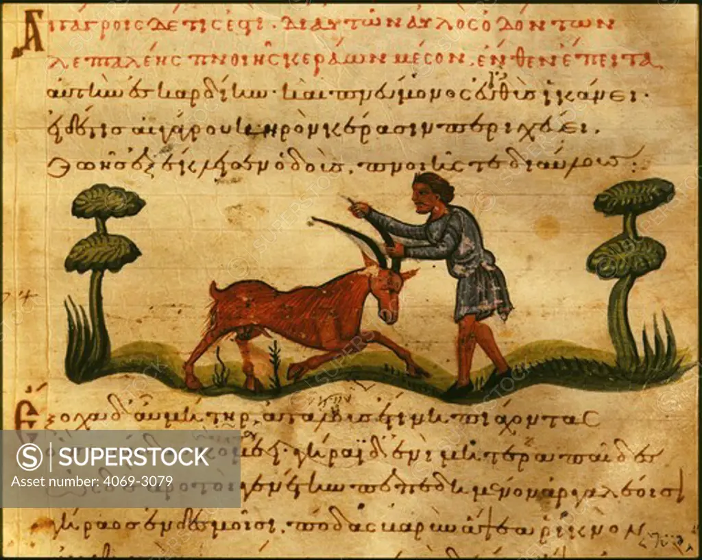 Goat farmer, from the Oppiano codex, 11th century Greek manuscript , a treatise on hunting and fishing