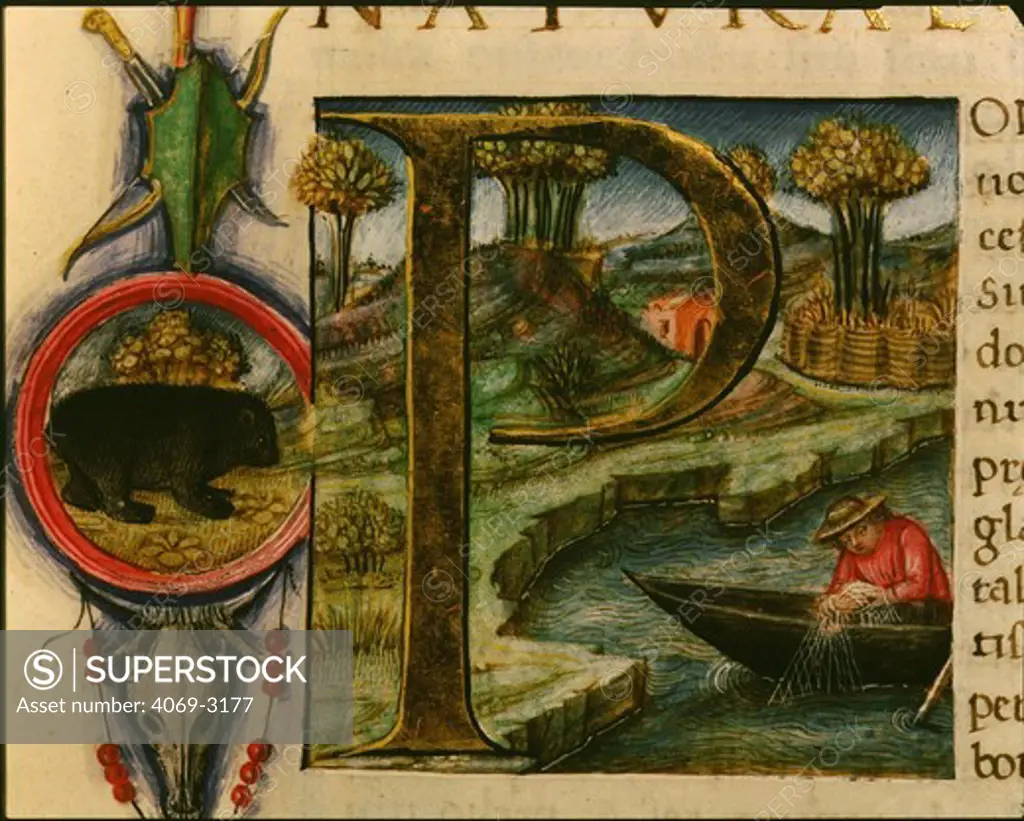 Fishing, illuminated letter P from a 1481 manuscript of Pliny the Elder's De Naturalis Historia