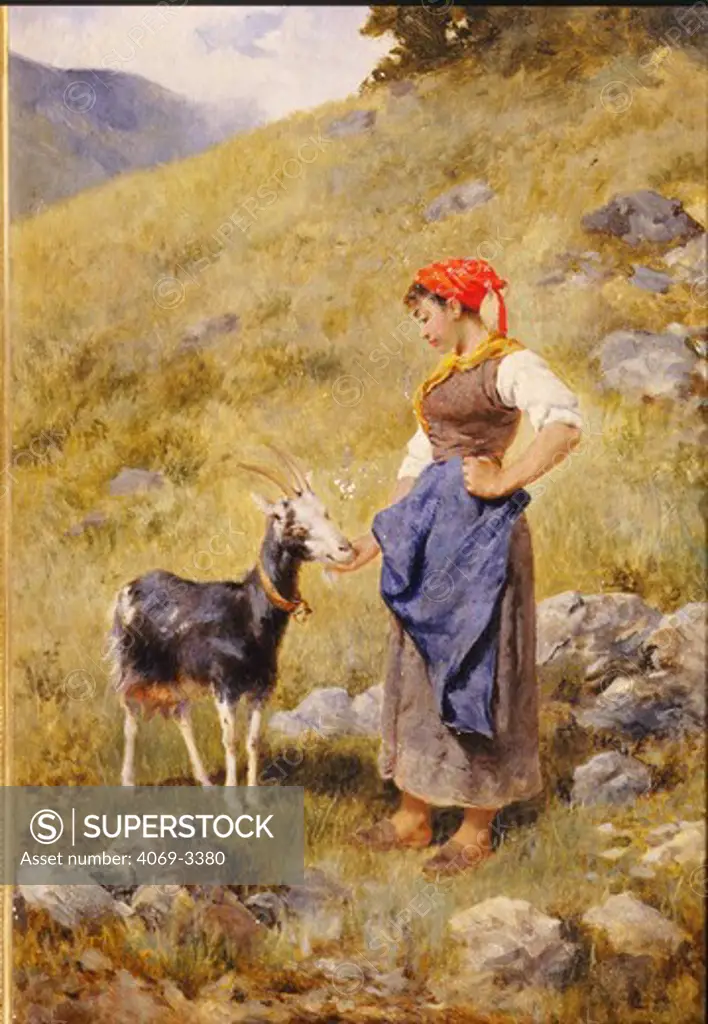 The Shepherdess