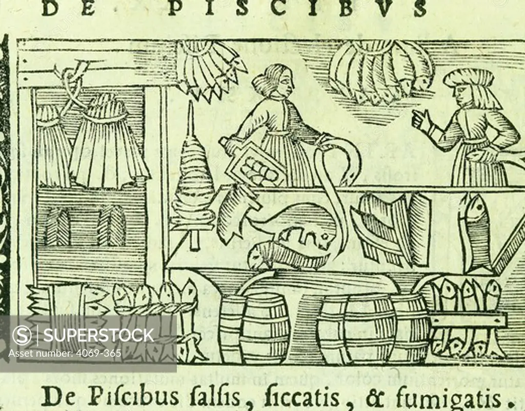 Method of drying, preserving and smoking fish from Olaus Magnus Historia de Gentibus Septentrionalibus 1555 (on hist Scandinavia )