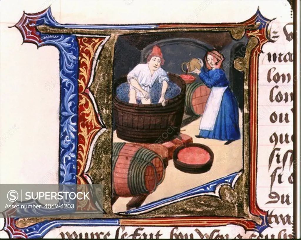 Wine making, from 1356 manuscript of Treatise on Medicine by Aldebrand of Florence