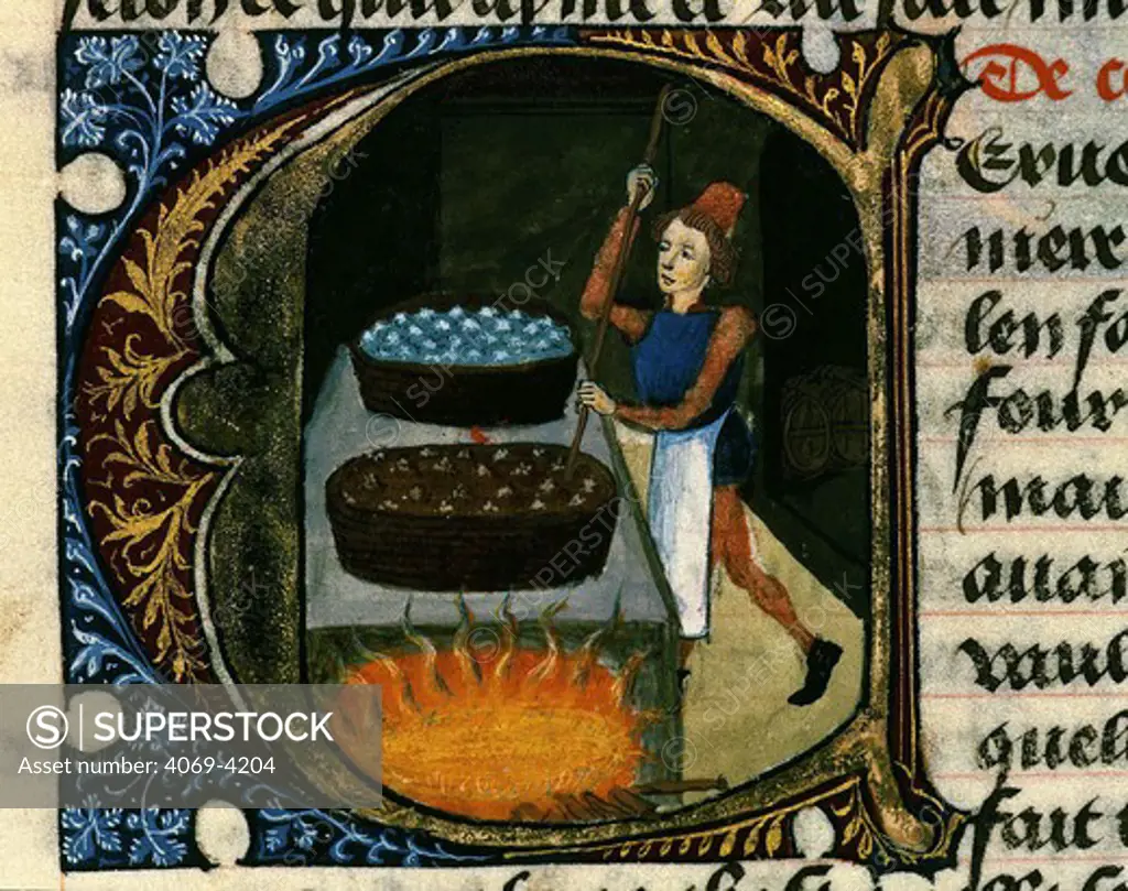Making barley beer, from 1356 manuscript of Treatise on Medicine by Aldebrand of Florence