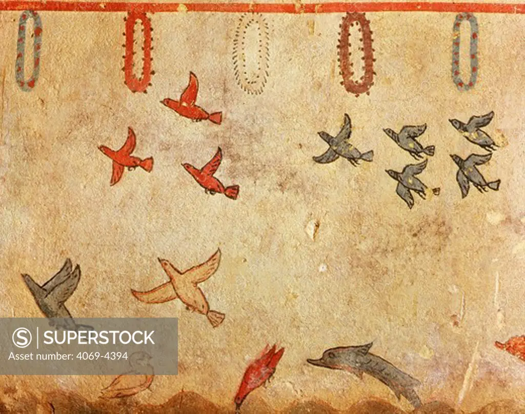 Birds, from hunting and fishing scene, fresco, Tomb of Hunting and Fishing 550-520 BC Etruscan, Tarquinia, Italy