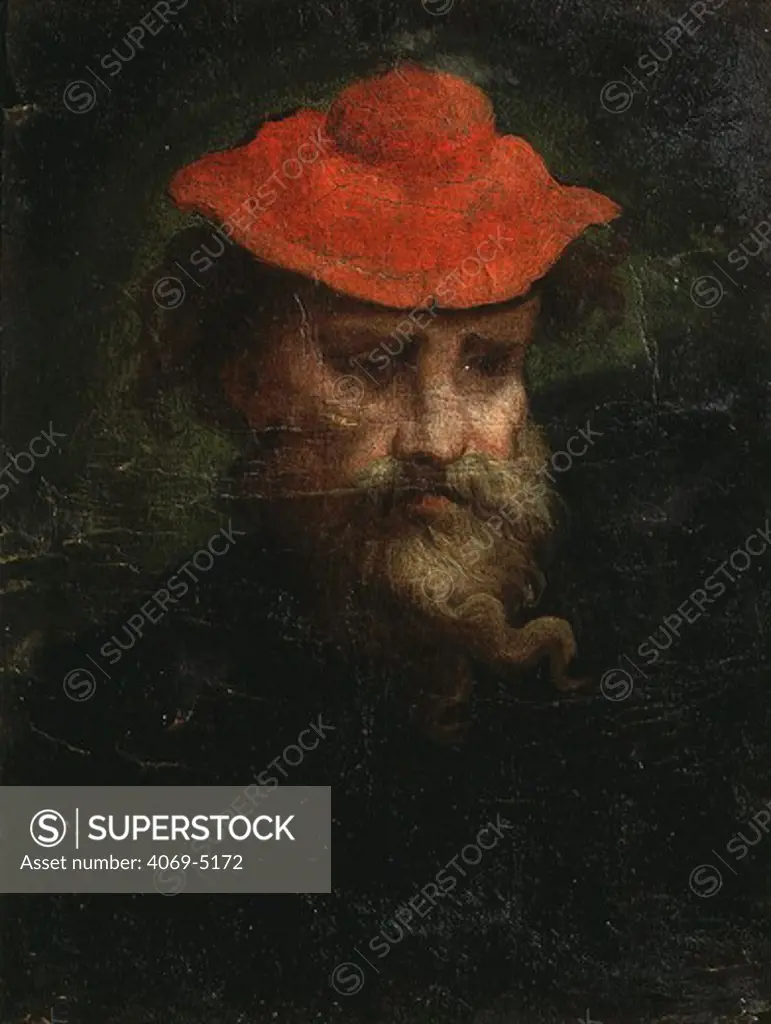 Self portrait (PARMIGIANINO), 1540