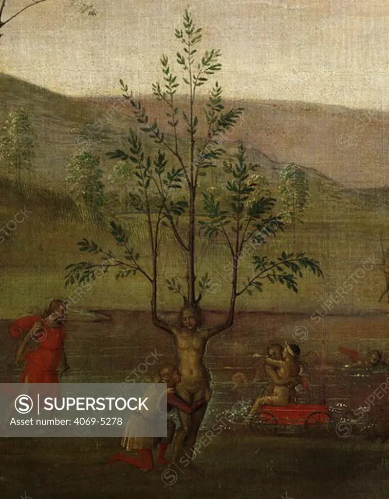 Woman metamorphosing into tree, from The Battle Between Love and Chastity 1503 (detail) (from studio of Isabelle d'Este, Ducal Palace, Mantua)