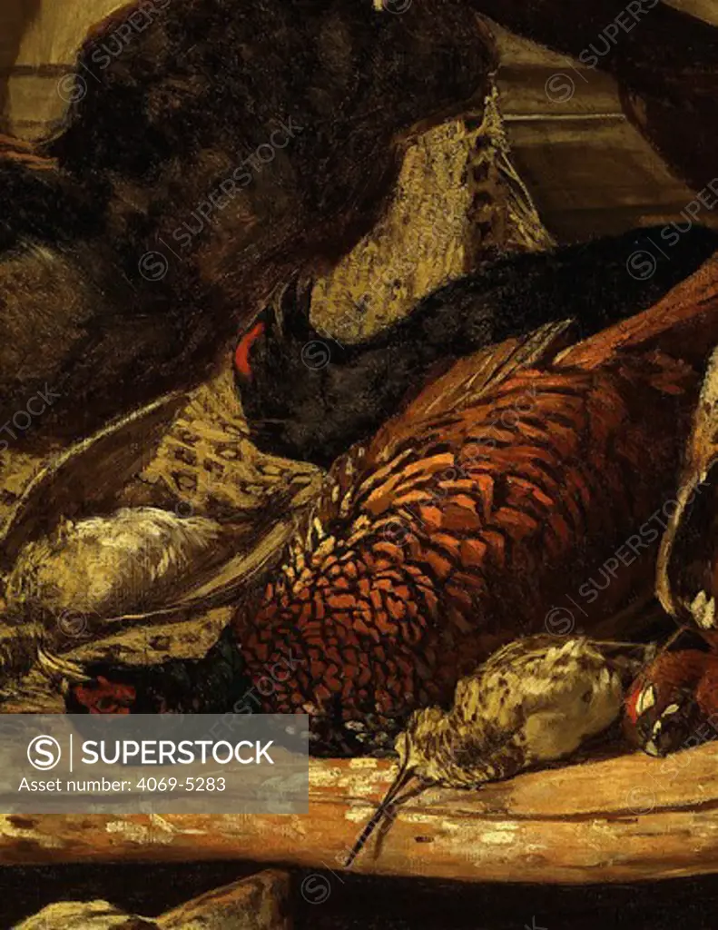 Pheasant and woodcock, from TrophZe de chasse, or Hunting trophies, 1862, detail