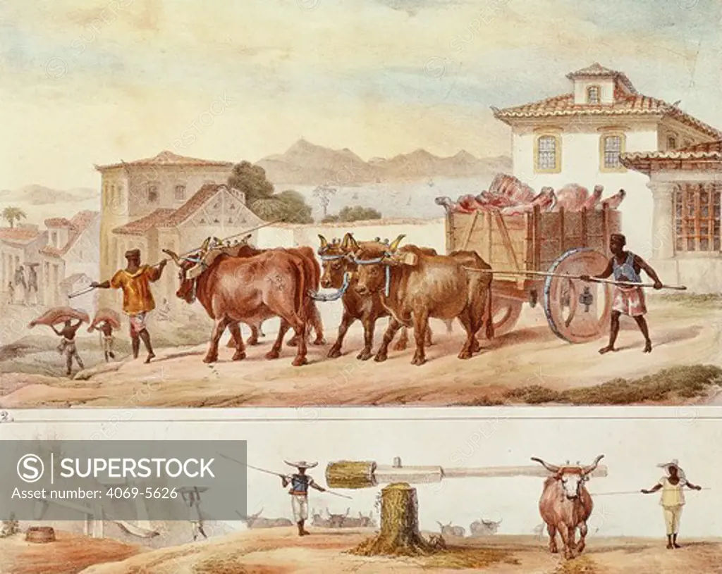 Transporting meat in Brazil, 1822-28 watercolour
