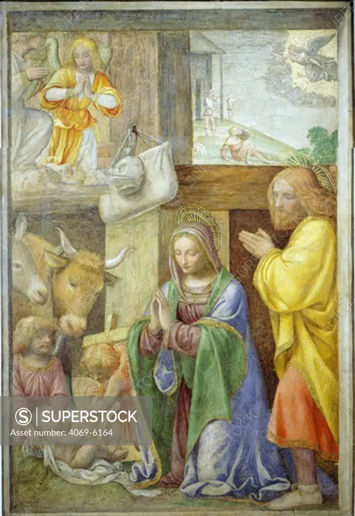 Nativity, fresco, c.1520-5, painted for a Greco-Milanese oratory near Milan