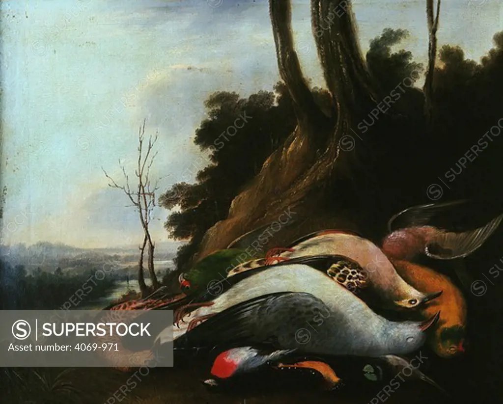 Still Life with Game, 19th century. Gould was transported to Tasmania in 1827, and his studies often include birds native to the colony