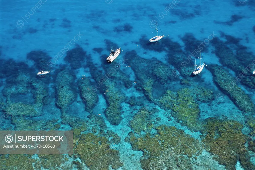 Aerial view of boats and snorkelers, Looe Key Reef, Florida Keys National Marine Sanctuary, USA, showing spur and groove coral formations.