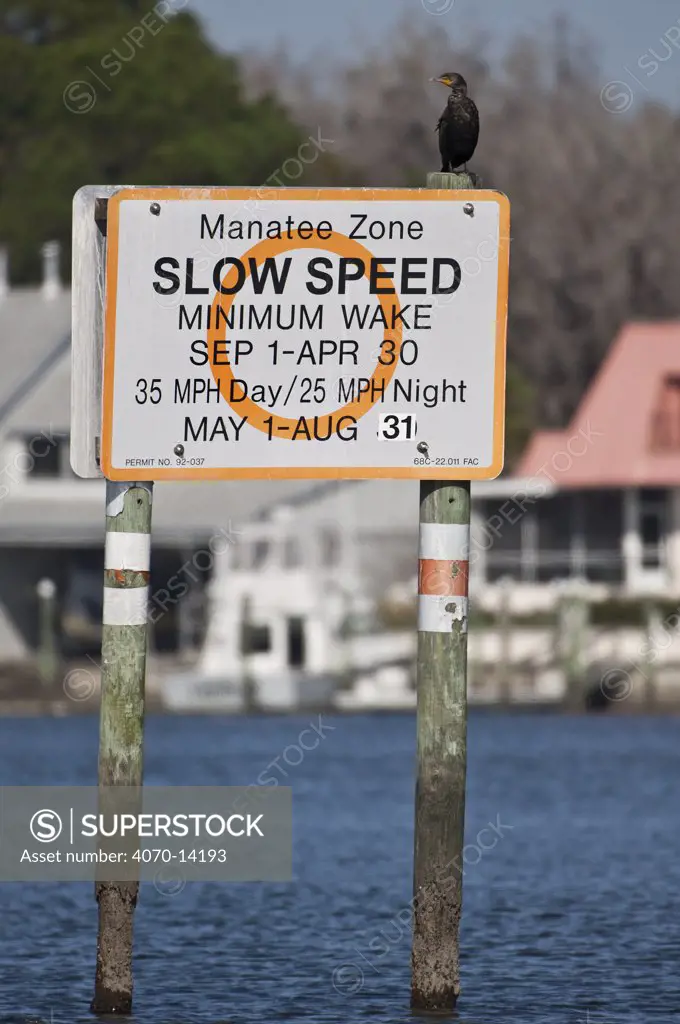 Manatee zone slow speed warning sign for motor boats. Florida manatees (Trichechus manatus latirostris) Crystal River, Florida, USA. February 2010