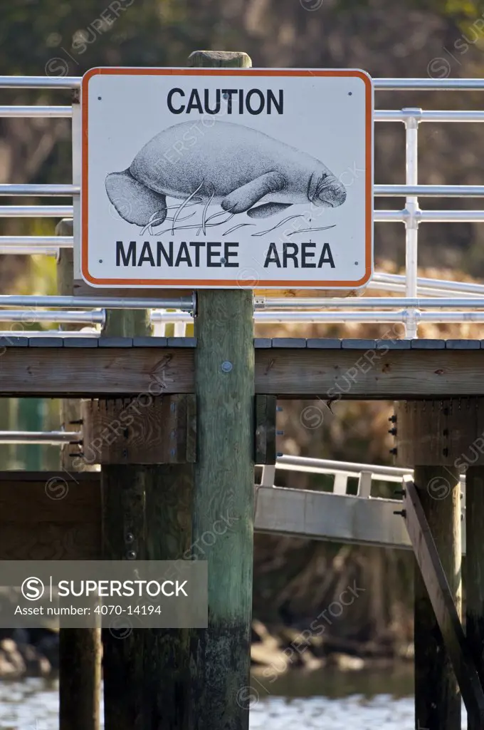 A Caution Florida manatees (Trichechus manatus latirostris) Area Sign. Crystal River, Florida. USA February 2010