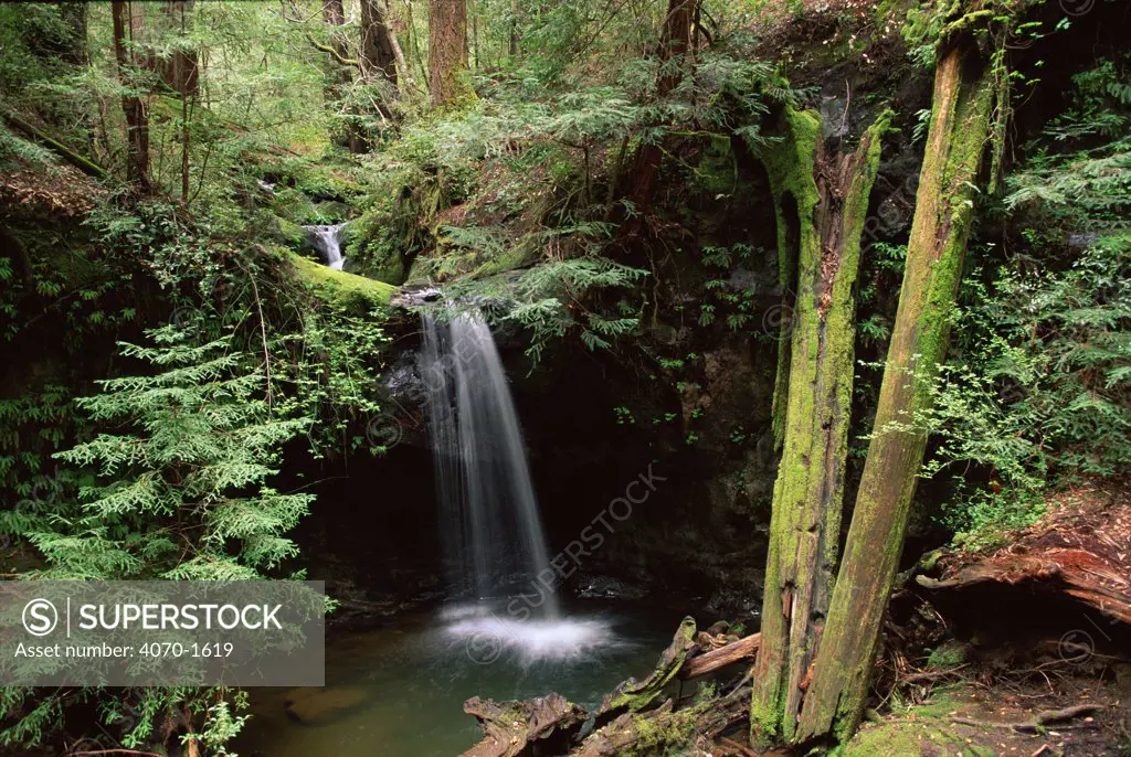 Waterfall at Big Basin Redwoods NP, California, USA