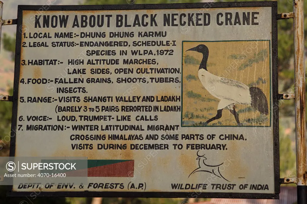Information board on Black-necked Cranes Grus nigricollis} Shangti Valley, Arunachal Pradesh, India. 2005