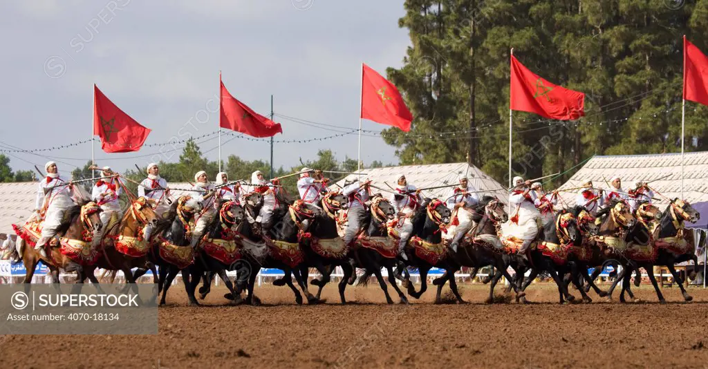 Traditionally dressed Berber warriors, mounted on Barb and Arab Barb horses, galloping in formation with guns raised during the Fantasia in Dar Es Salam, Morocco, June 2010