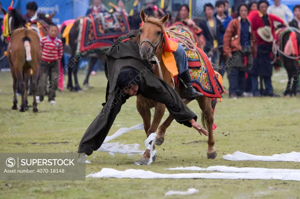 A Khampa warrior, mounted on his running Tibetan horse, tries to catch white scarves laid out on the ground, during the horse festival, near Huangyan, in the Garze Tibetan Autonomous Prefecture in the Sichuan Province, China, June 2010