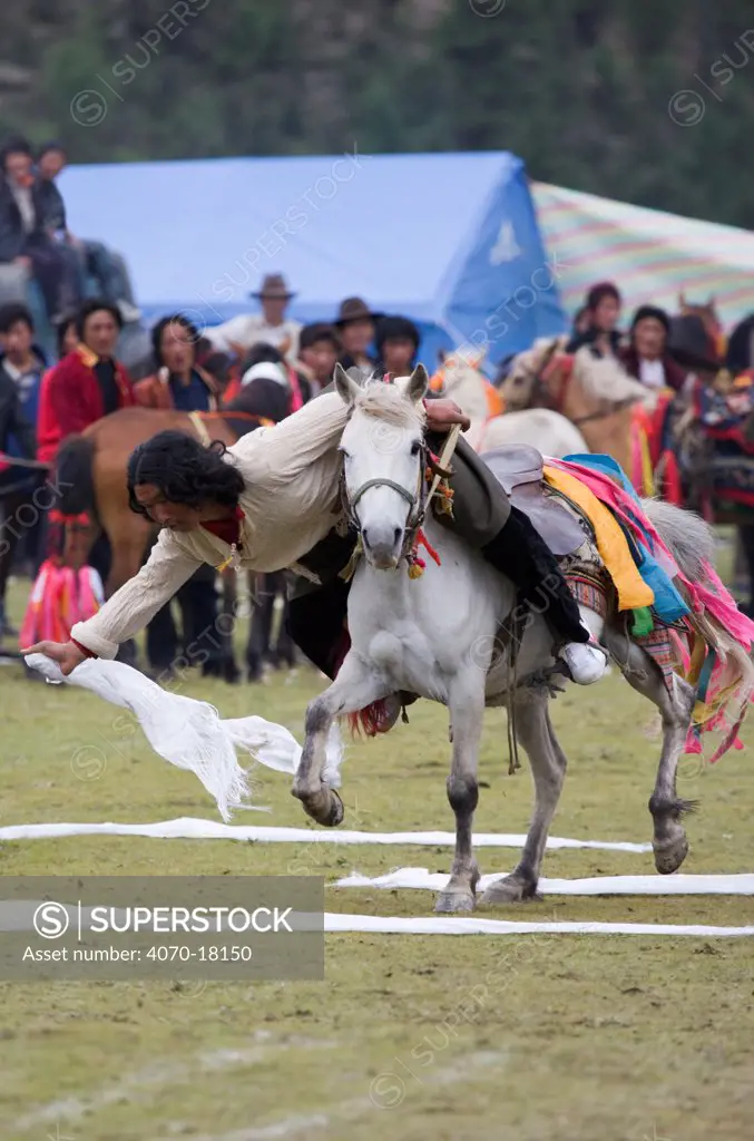 A Khampa warrior, mounted on his running Tibetan horse, tries to catch white scarves laid out on the ground, during the horse festival, near Huangyan, in the Garze Tibetan Autonomous Prefecture in the Sichuan Province, China, June 2010