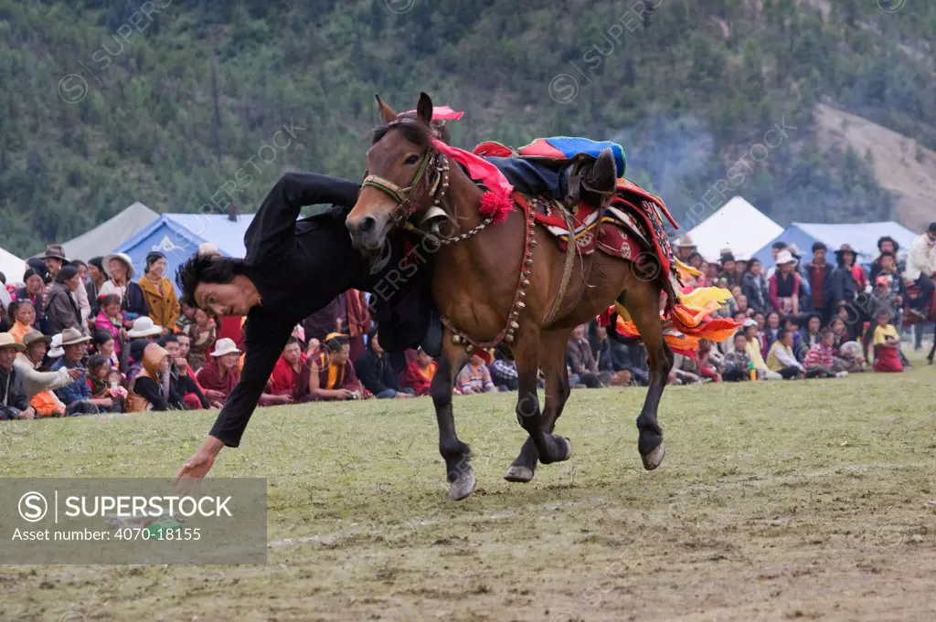 A Khampa warrior, mounted on his running Tibetan horse, tries to catch sweets laid out on the ground, during the horse festival, near Huangyan, in the Garze Tibetan Autonomous Prefecture in the Sichuan Province, China, June 2010