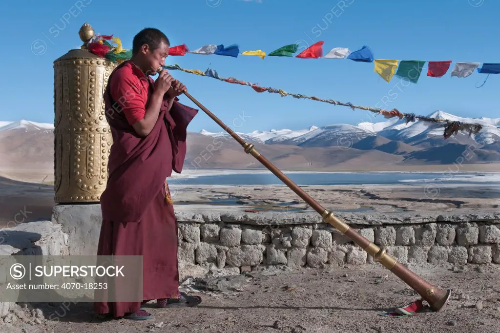 Buddhist monk playing the Lawah (long trumpet) during afternoon pudja, Tso Kar, Ladakh, India, June 2010